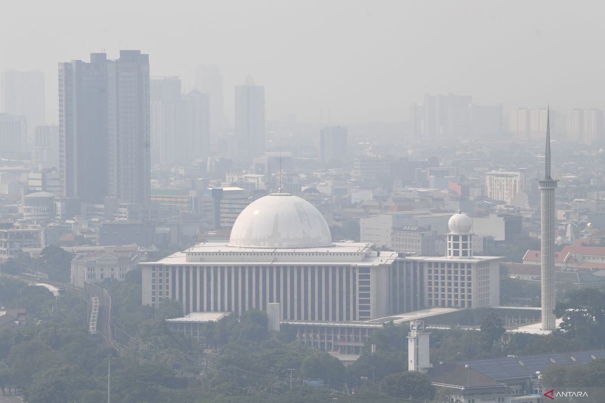 IDAI soroti dampak buruk polusi udara terhadap tumbuh kembang anak