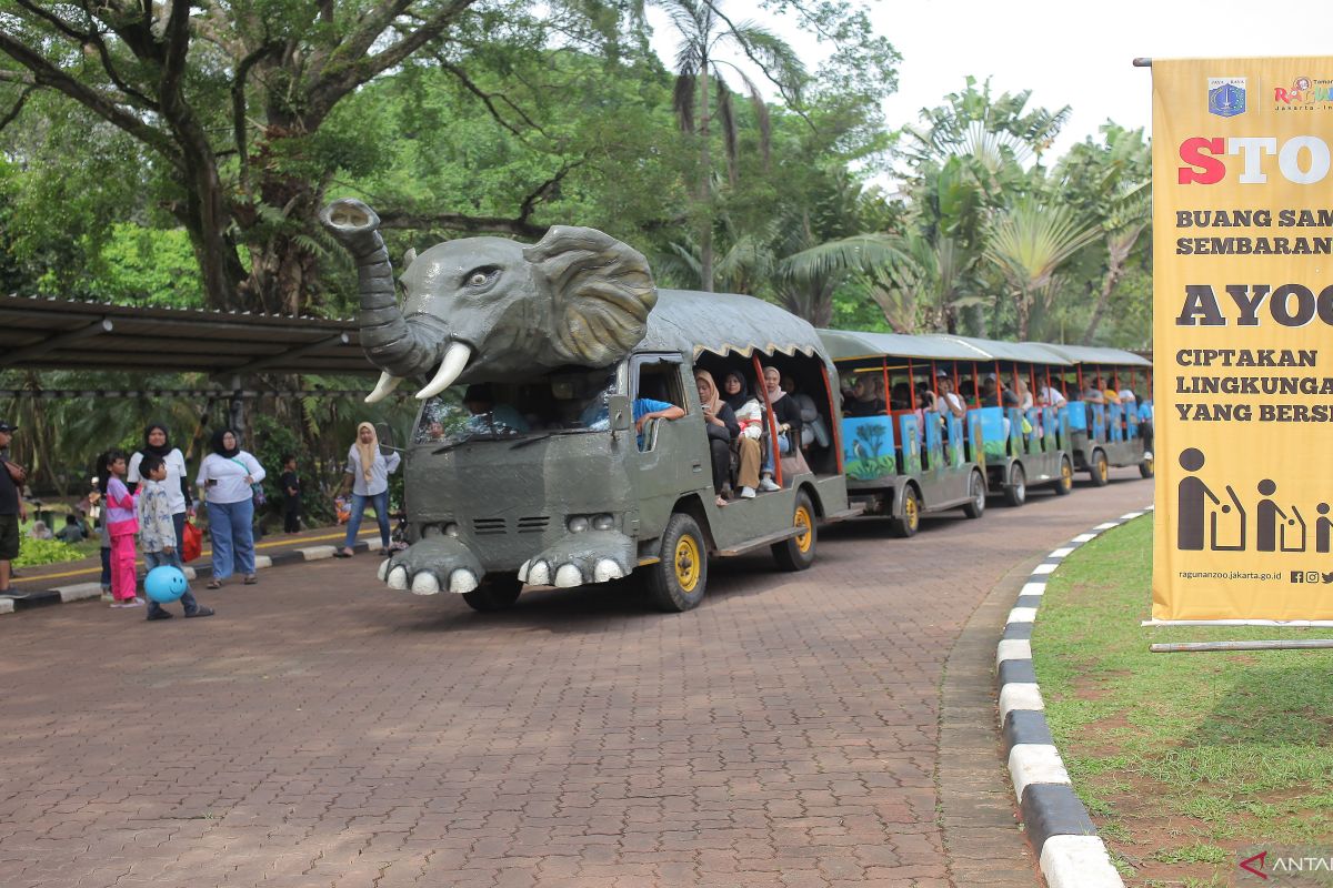 Rute dan jenis transportasi yang nyaman menuju ke Ragunan